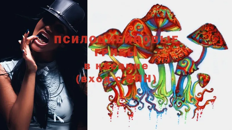 Псилоцибиновые грибы MAGIC MUSHROOMS  Лабинск 